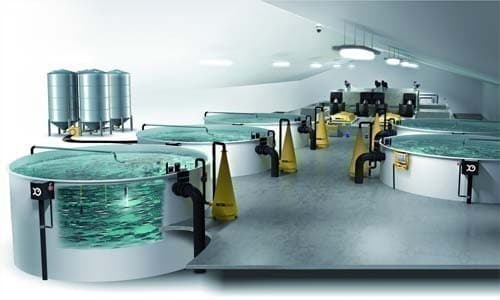 پرورش ماهی در سیستم مدار بسته (RAS) Recirculating Aquaculture System