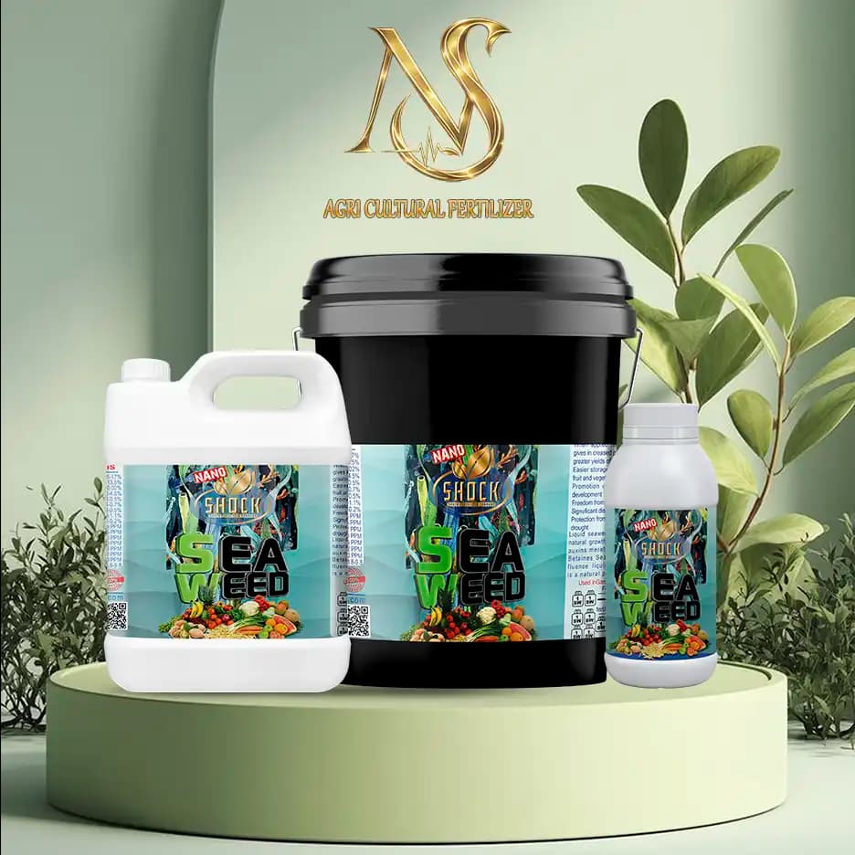 کود جلبک دریایی شوک