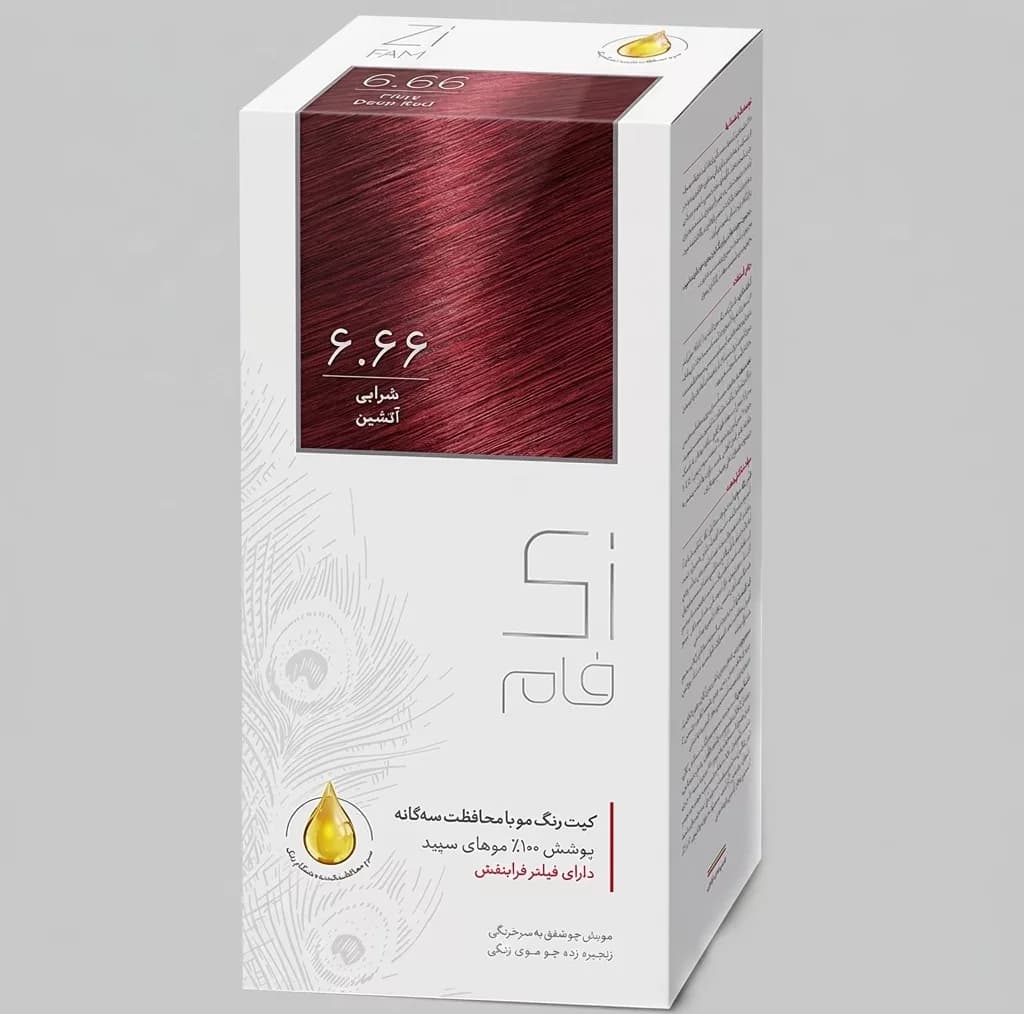 کیت رنگ مو زی فام شماره 6.66 حجم 50 میلی لیتر شرابی آتشین