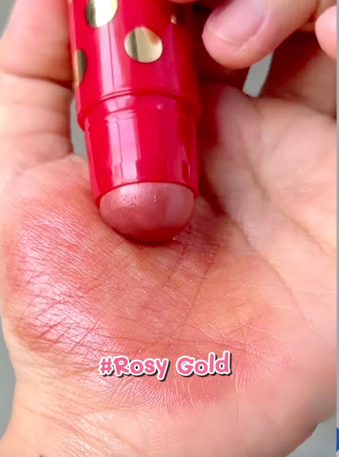 رژگونه و رژلب استیکی چندکاره استی لادر — تصویر ۷
