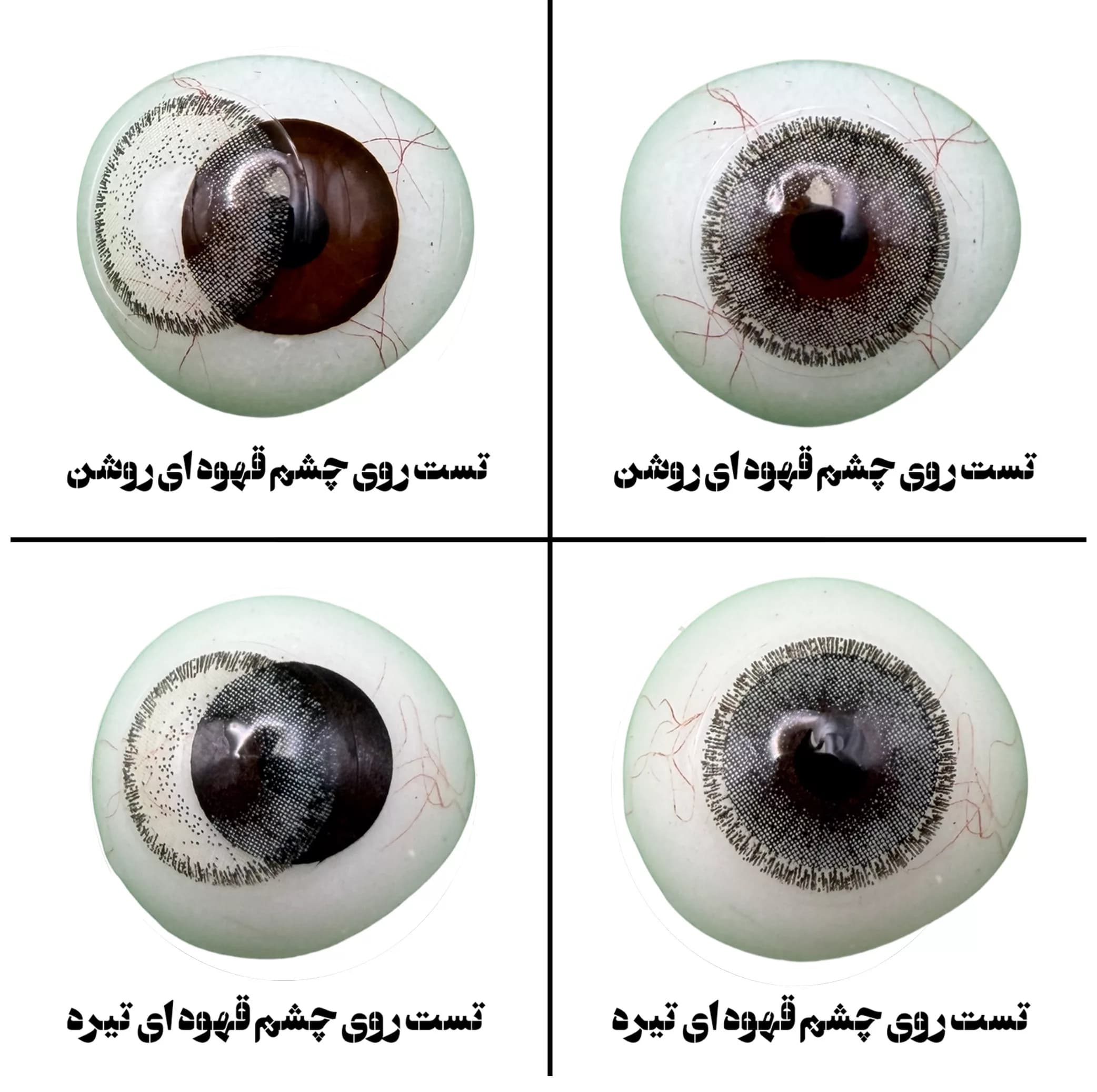 لنز چشم هرا گریس تمیم کانتکت لنز مدل EMERALD کد 35 رنگ طوسی دوردار — تصویر ۴