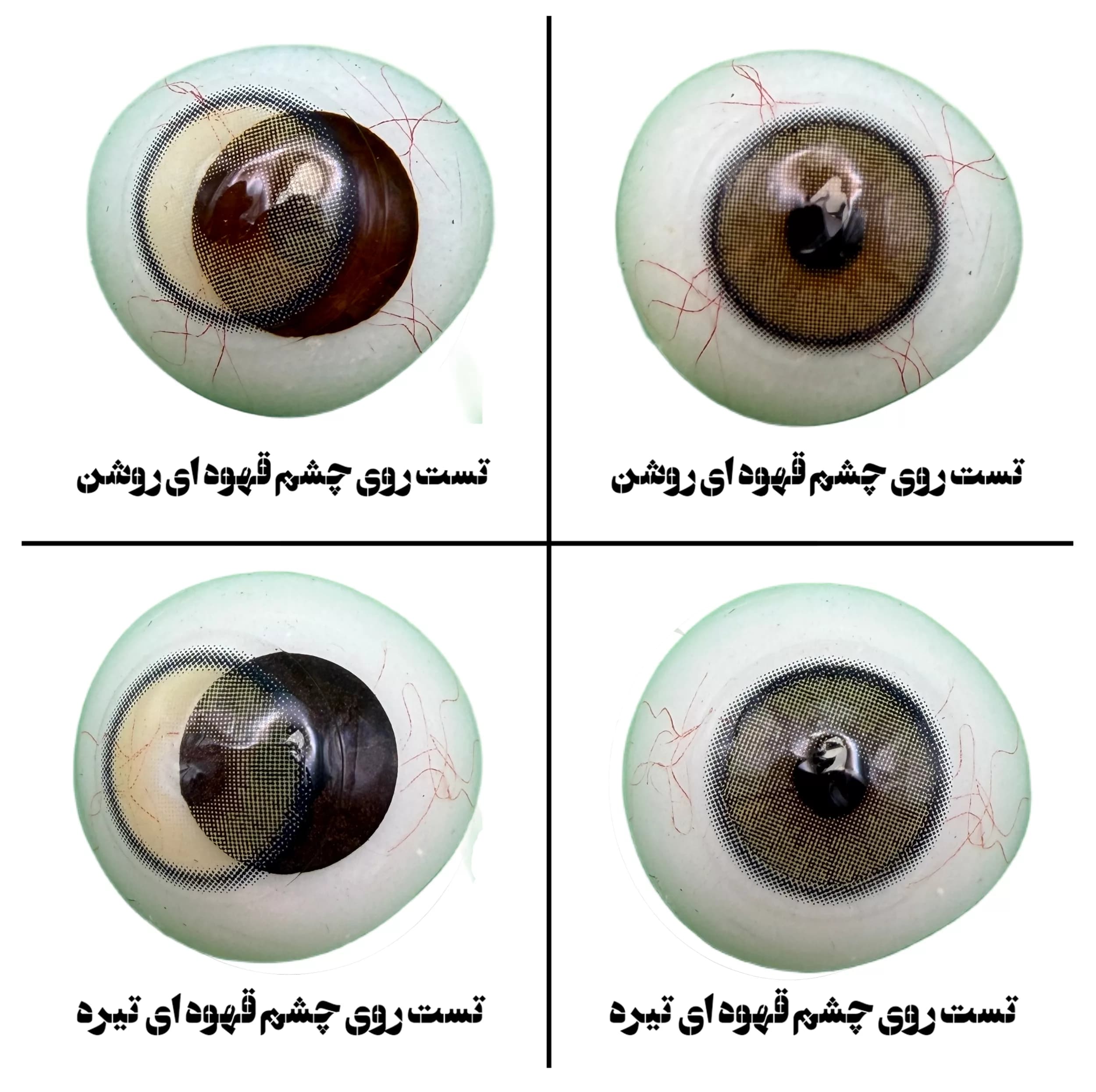 لنز چشم یونیک فصلی مدل LINARIA رنگ سبز عسلی دوردار — تصویر ۶