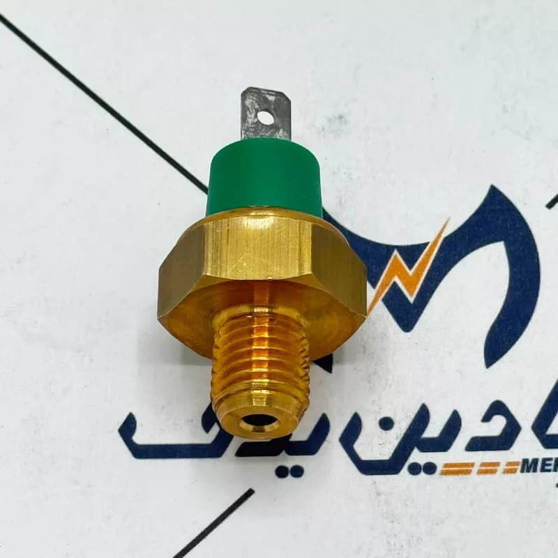 فشنگی فشار روغن موتور EF7 طرح BPS ایساکو — تصویر ۲