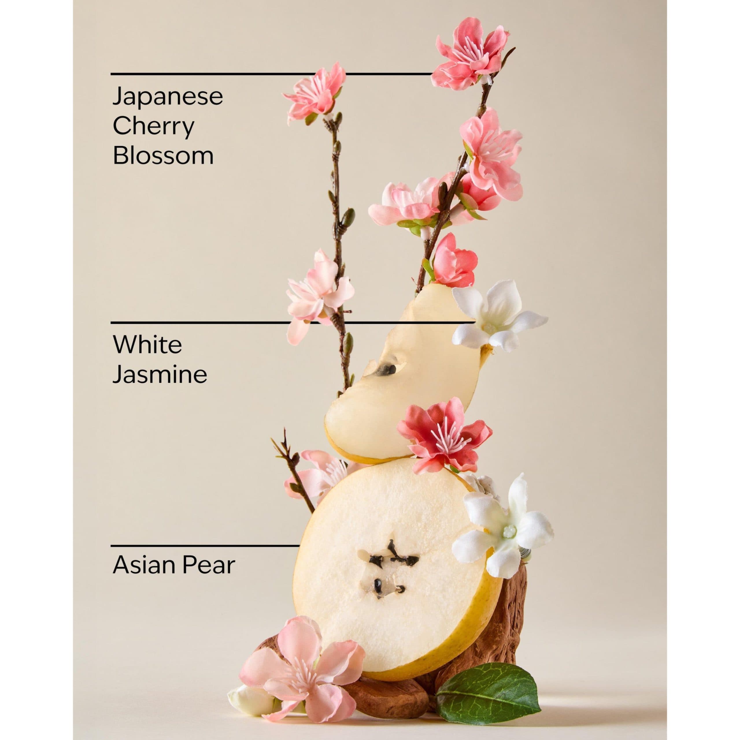 کره بدن کاسه ای بث اند بادی ورکز رایحه Japaneze Cherry Blossoms — تصویر ۳