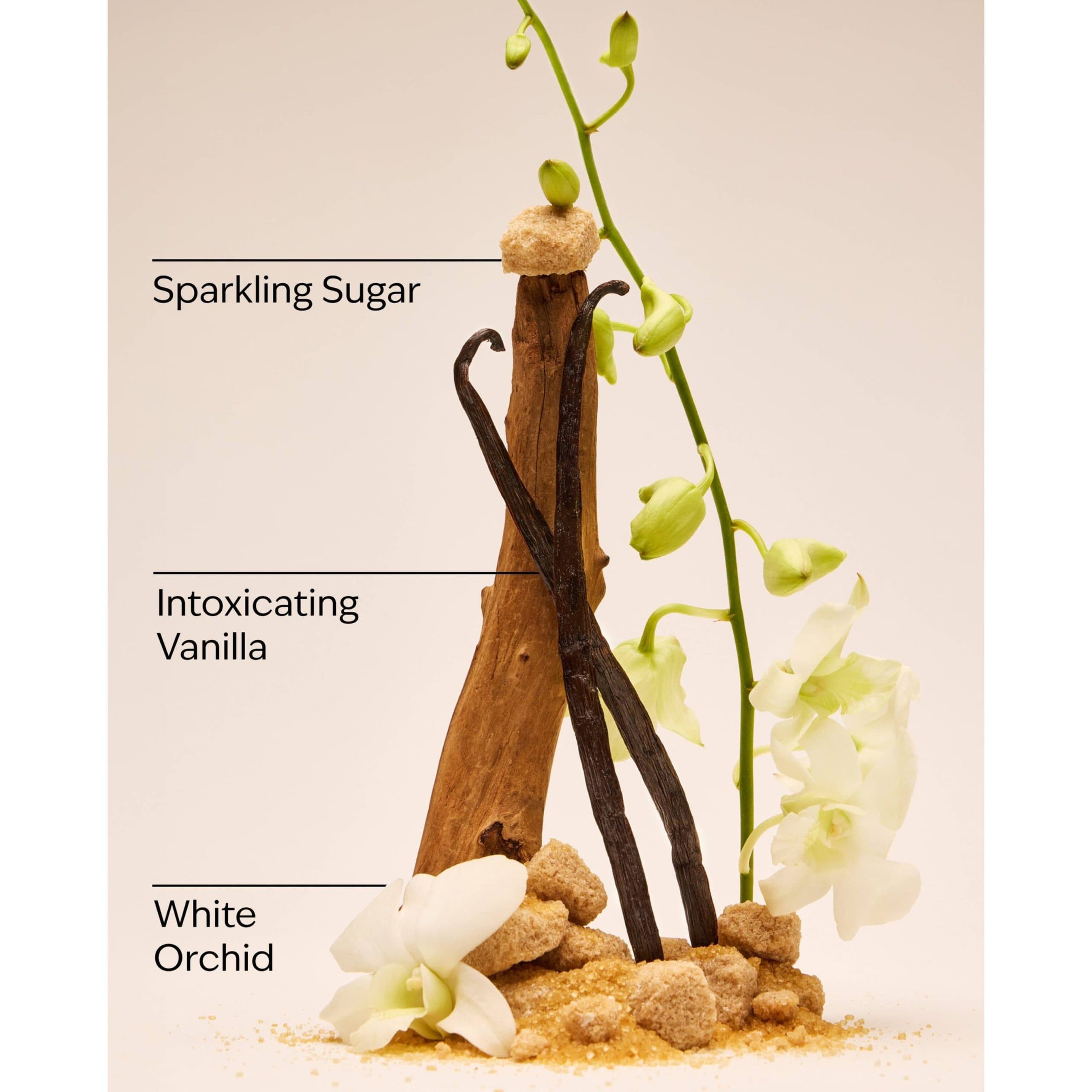 لوسیون بدن بث اند بادی ورکز رایحه Warm Vanilla Sugar — تصویر ۴