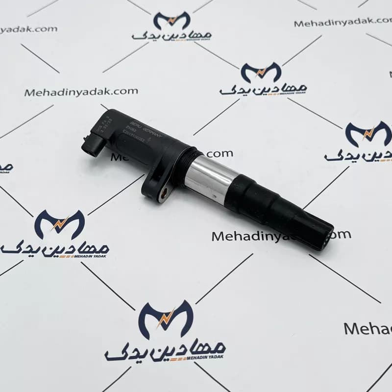 کوئل قلمی زیمنس ال90 Beru ایساکو