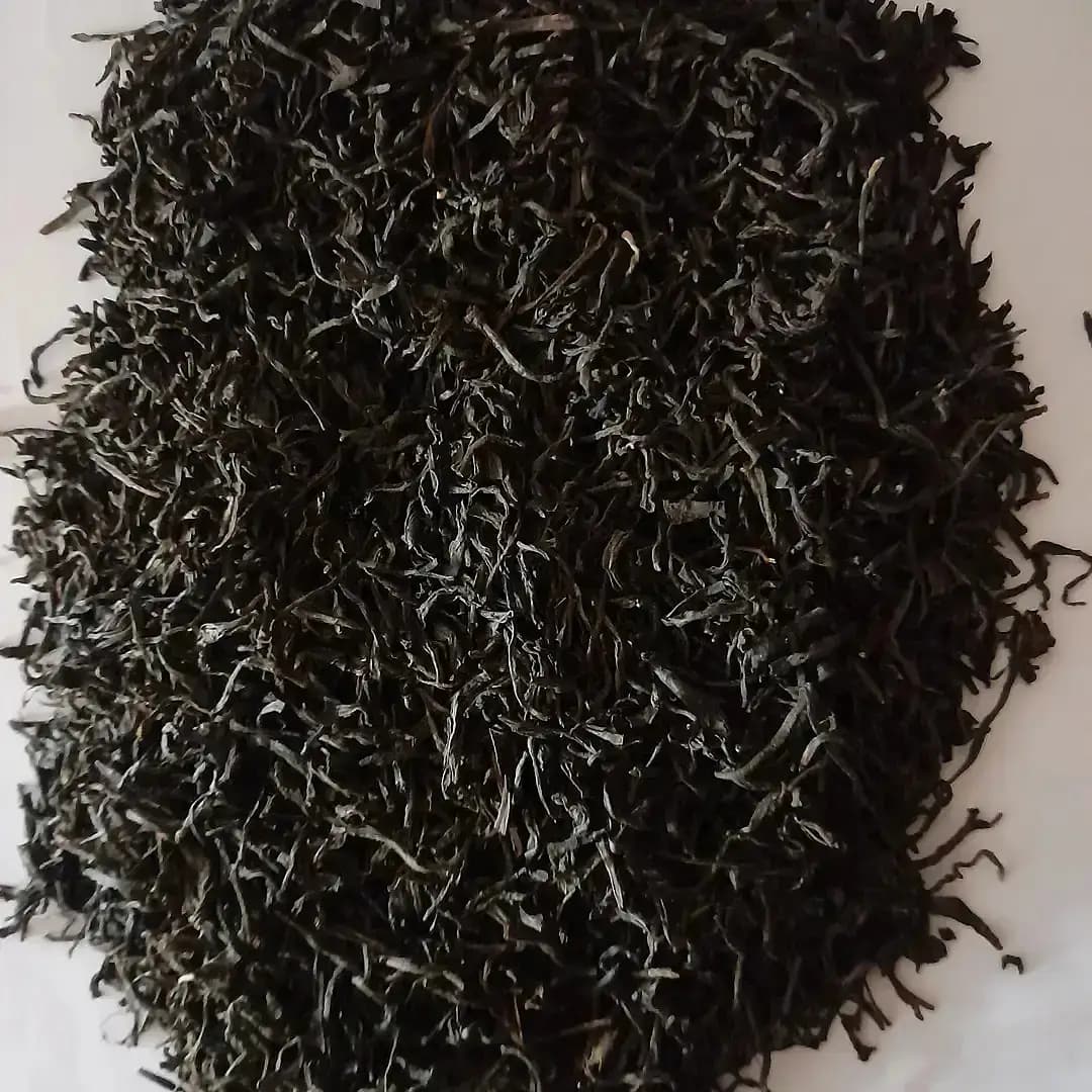 چای قلم سیلان سوزنی