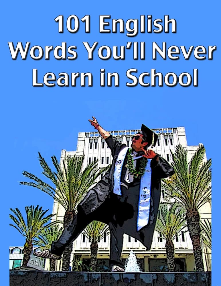 کتاب 101 English Words You’ll Never Learn in School (۱۰۱ کلمه انگلیسی که هرگز در مدرسه نخواهید آموخت) نسخه انگلیسی PDF