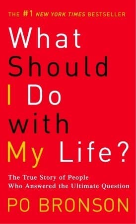 کتاب What Should I Do with My Life (با زندگی‌ام چه کار کنم؟) نسخه انگلیسی PDF | پو برانسون