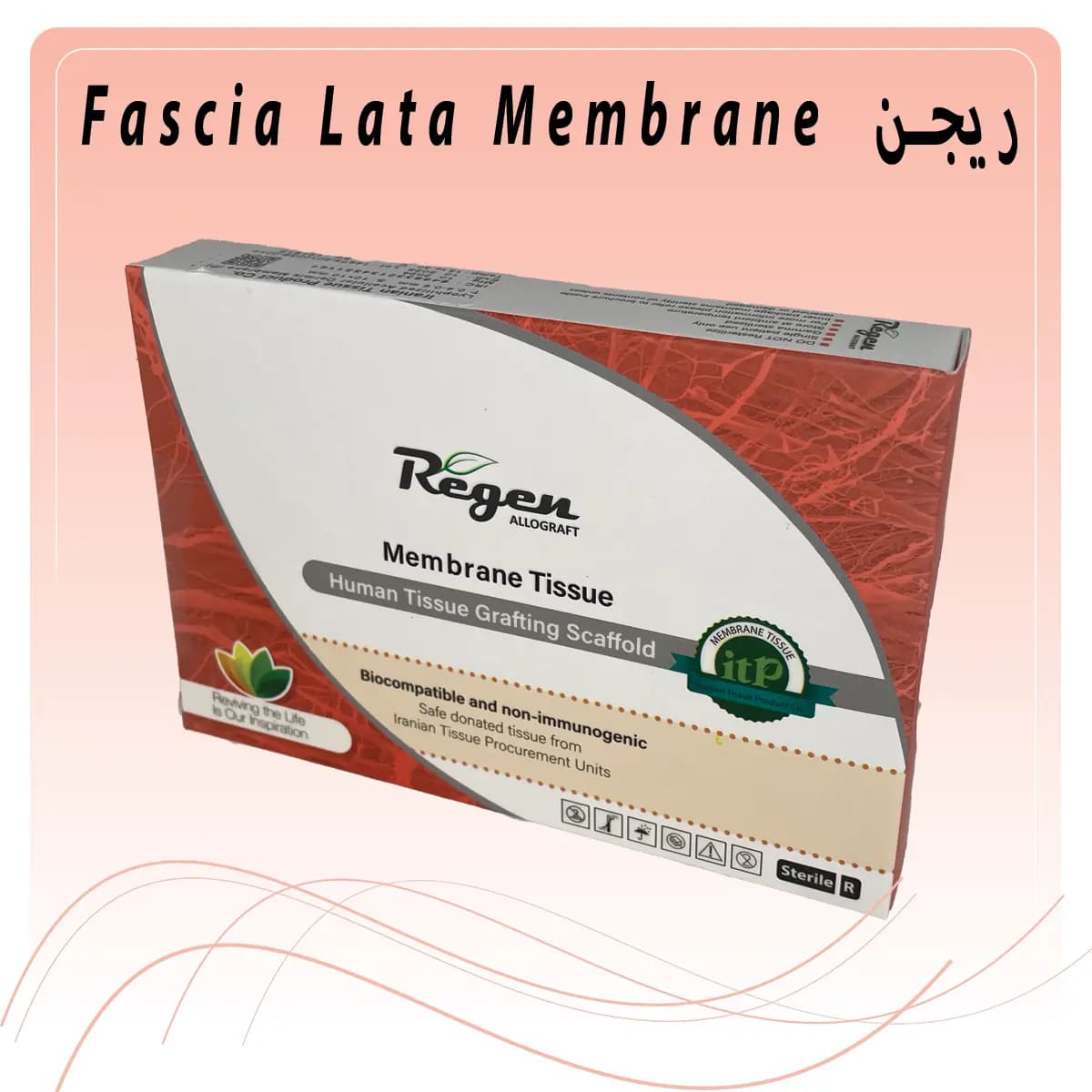 ممبران فاشیالاتا ریجن Fascia Lata Membrane