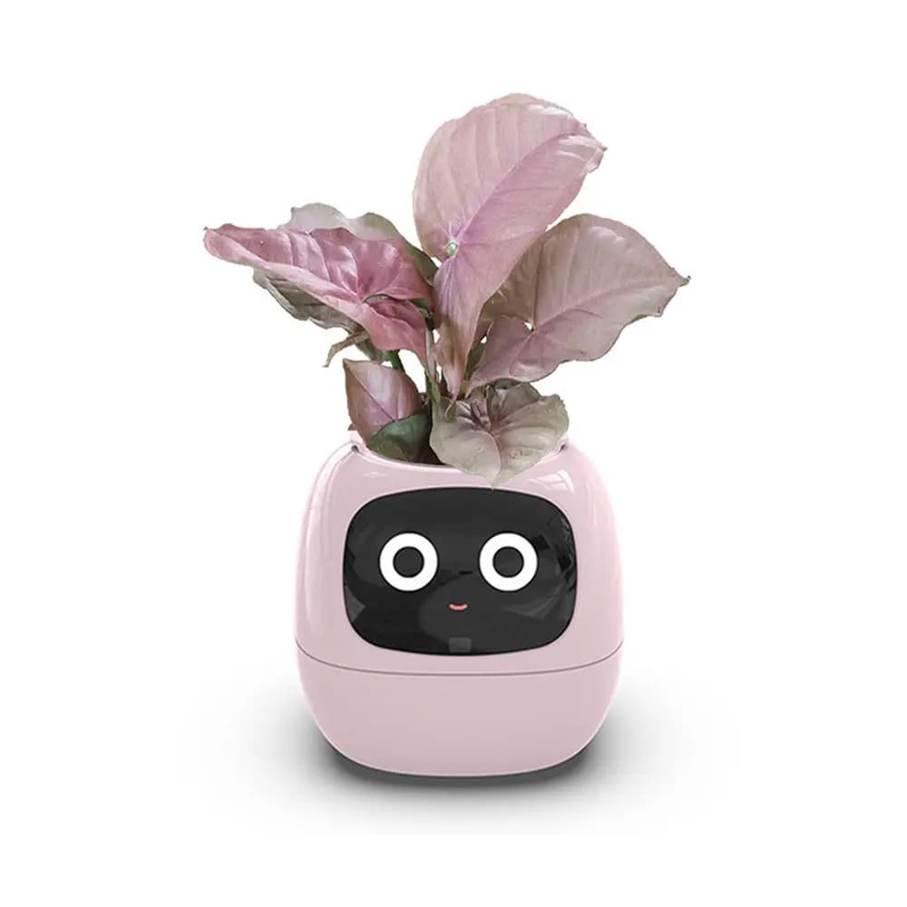 گلدان هوشمند مدل Smart Plant Ivy — تصویر ۵