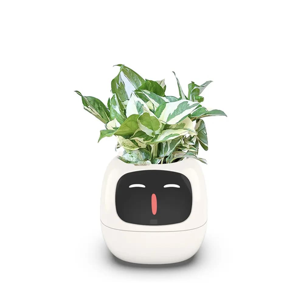 گلدان هوشمند مدل Smart Plant Ivy — تصویر ۴