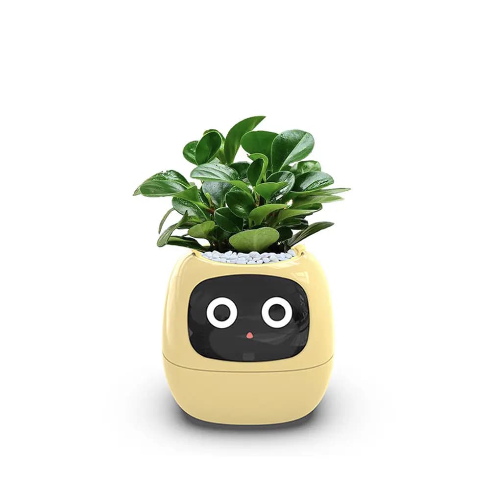 گلدان هوشمند مدل Smart Plant Ivy — تصویر ۳