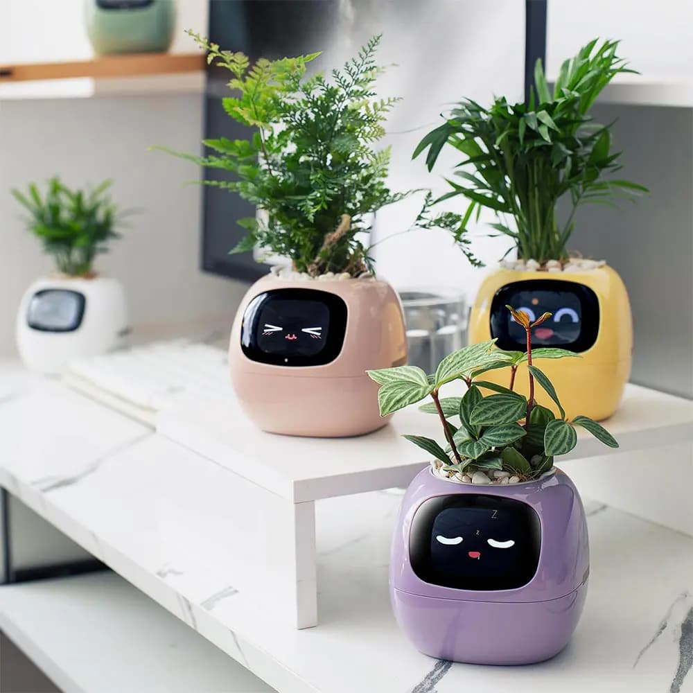 گلدان هوشمند مدل Smart Plant Ivy — تصویر ۷