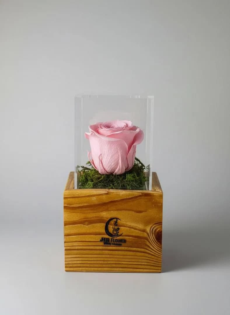گل رز جاودان مدل (ناز)
