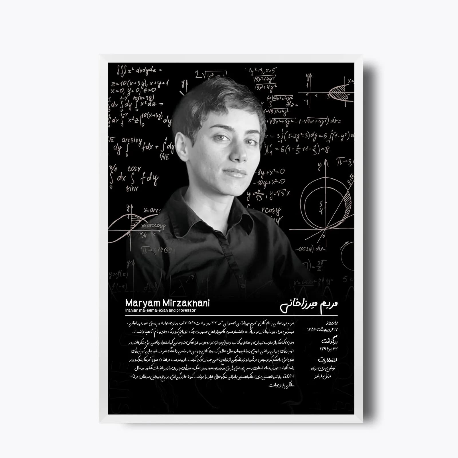 تابلو Maryam Mirzakhani(مریم میرزاخانی) — تصویر ۳
