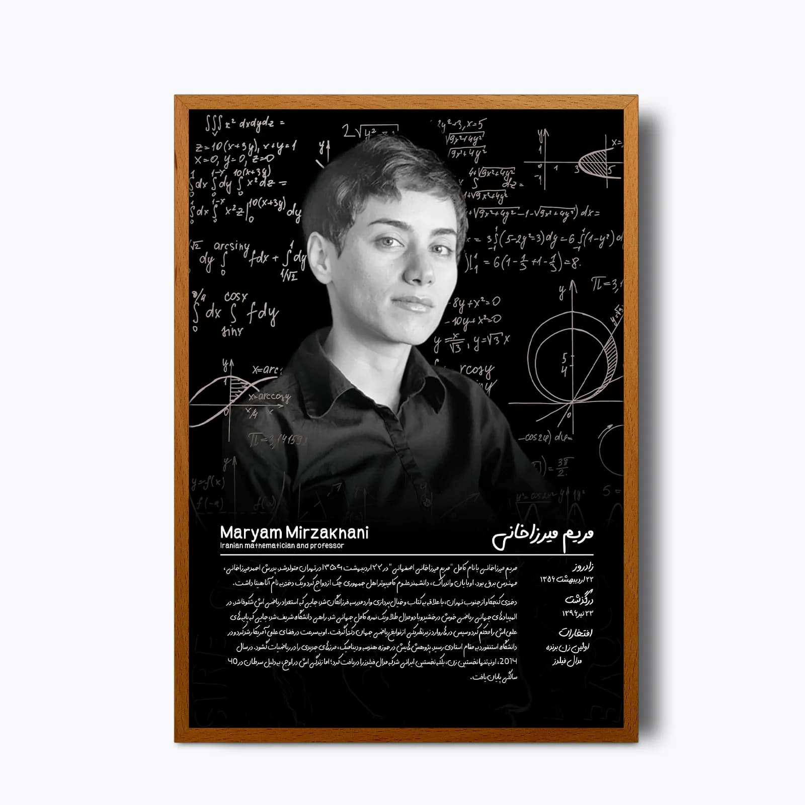 تابلو Maryam Mirzakhani(مریم میرزاخانی) — تصویر ۴
