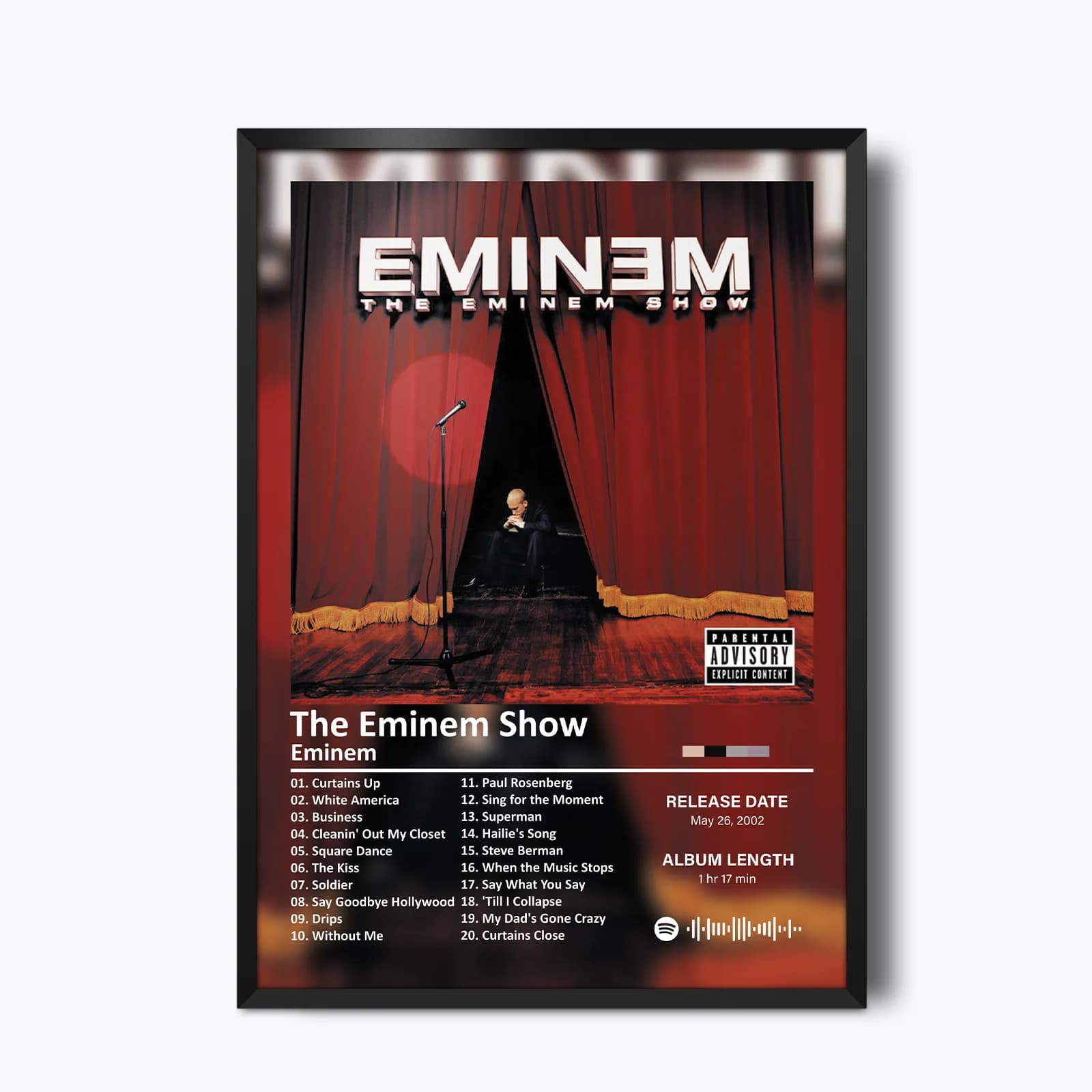 تابلو The Eminem Show(نمایش امینم)