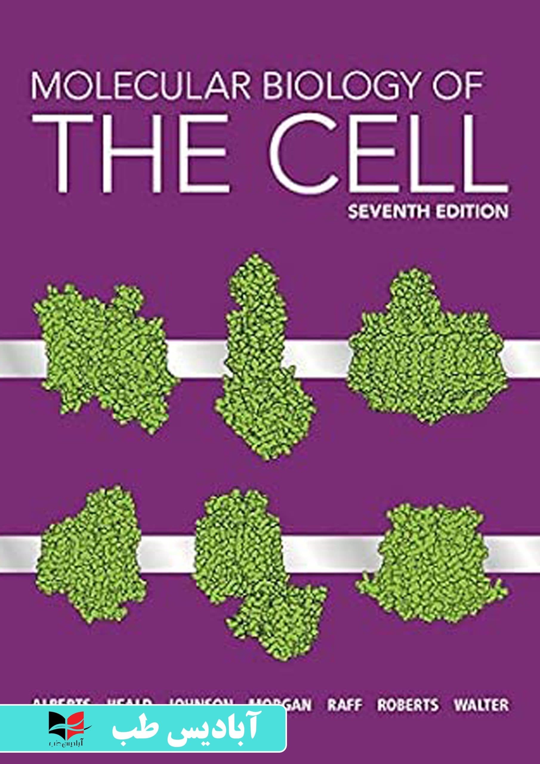 Molecular Biology of the Cell – 7th edition | زیست‌شناسی مولکولی سلول – ویرایش هفتم | زیست آلبرتس 2022