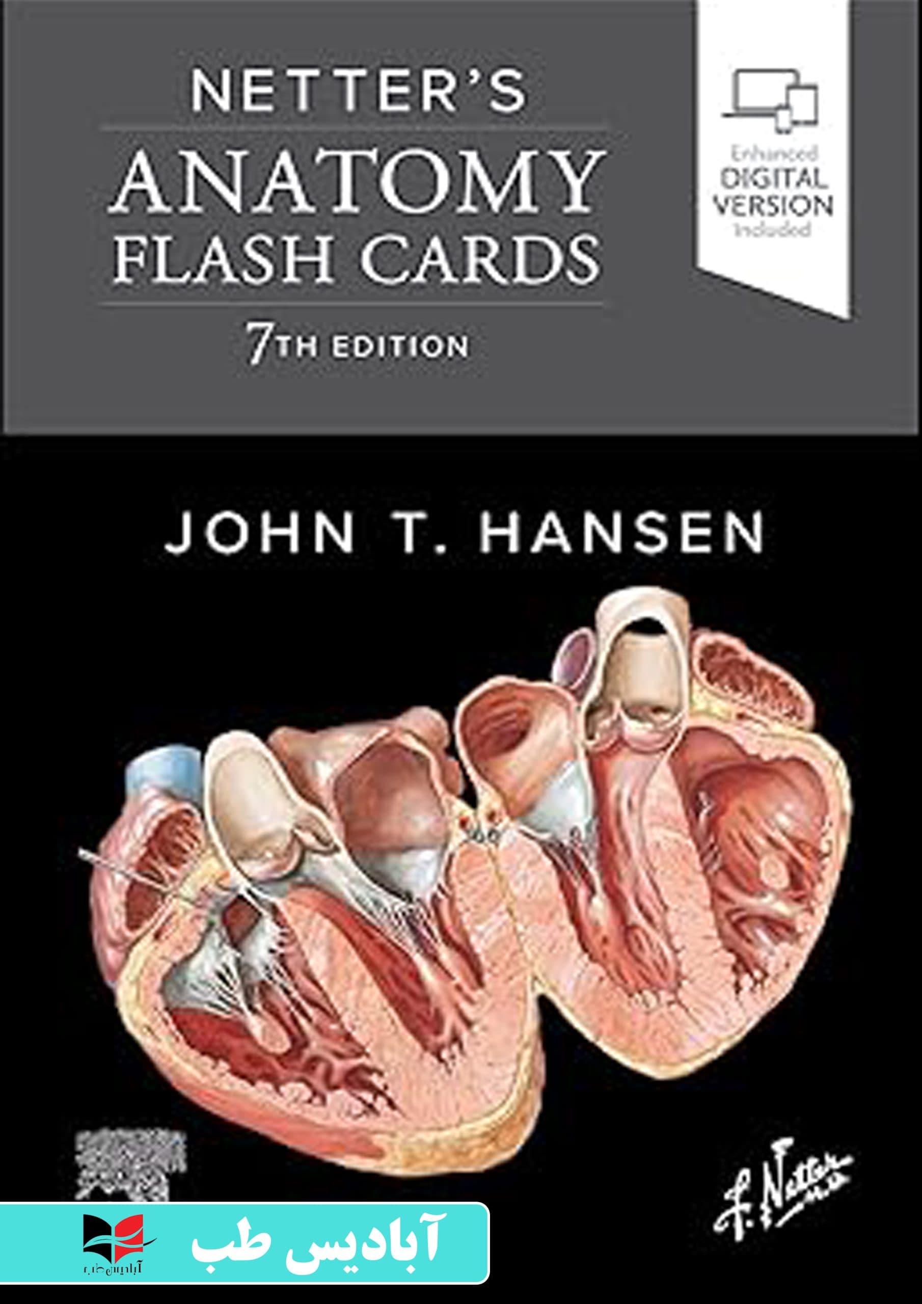 Netter’s Anatomy Flashcards 7th edition 2026 | فلش‌کارت‌های آناتومی نتر، ویرایش هفتم 2026