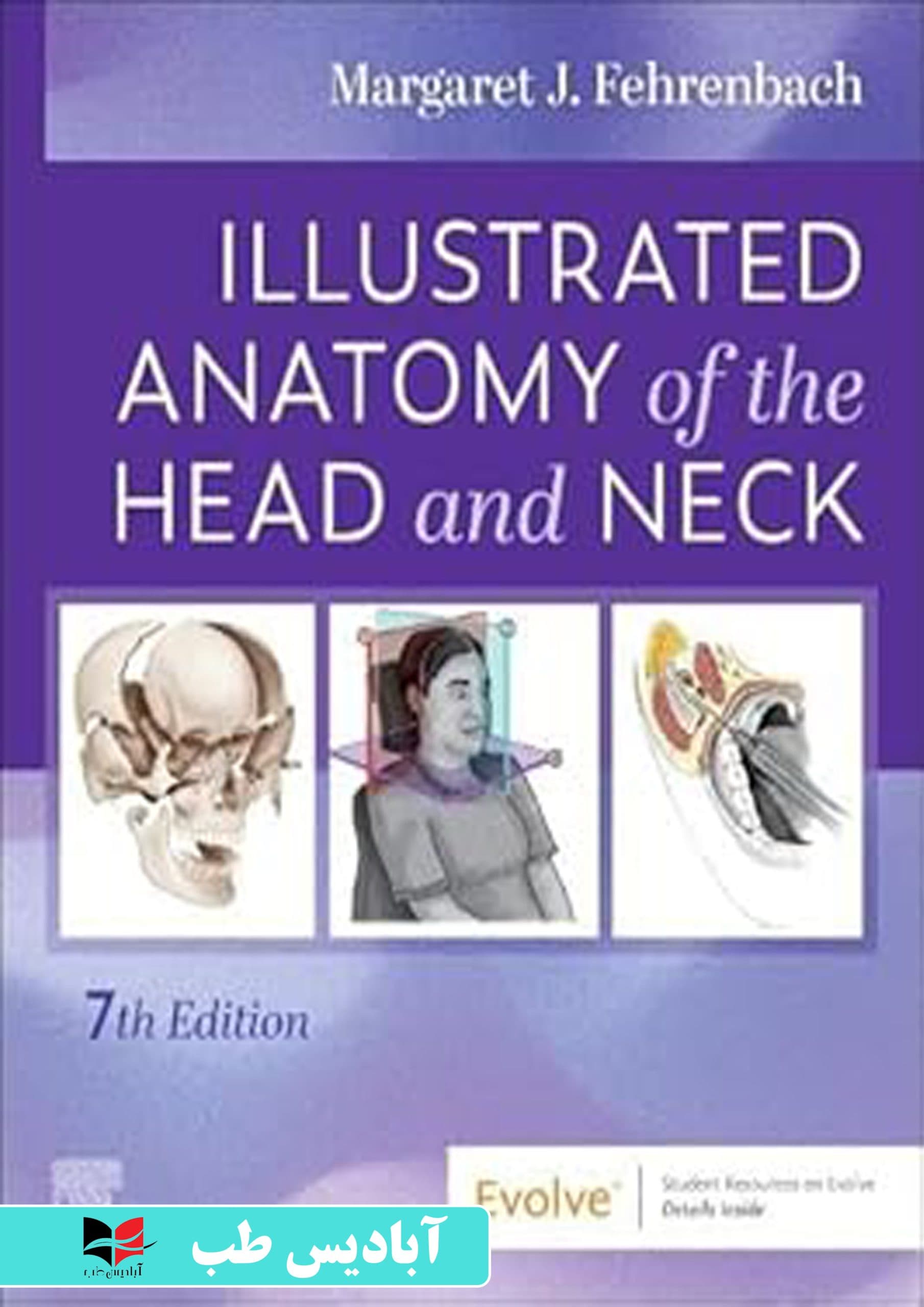 Illustrated Anatomy of the Head and Neck | آناتومی مصور سر و گردن — تصویر ۲