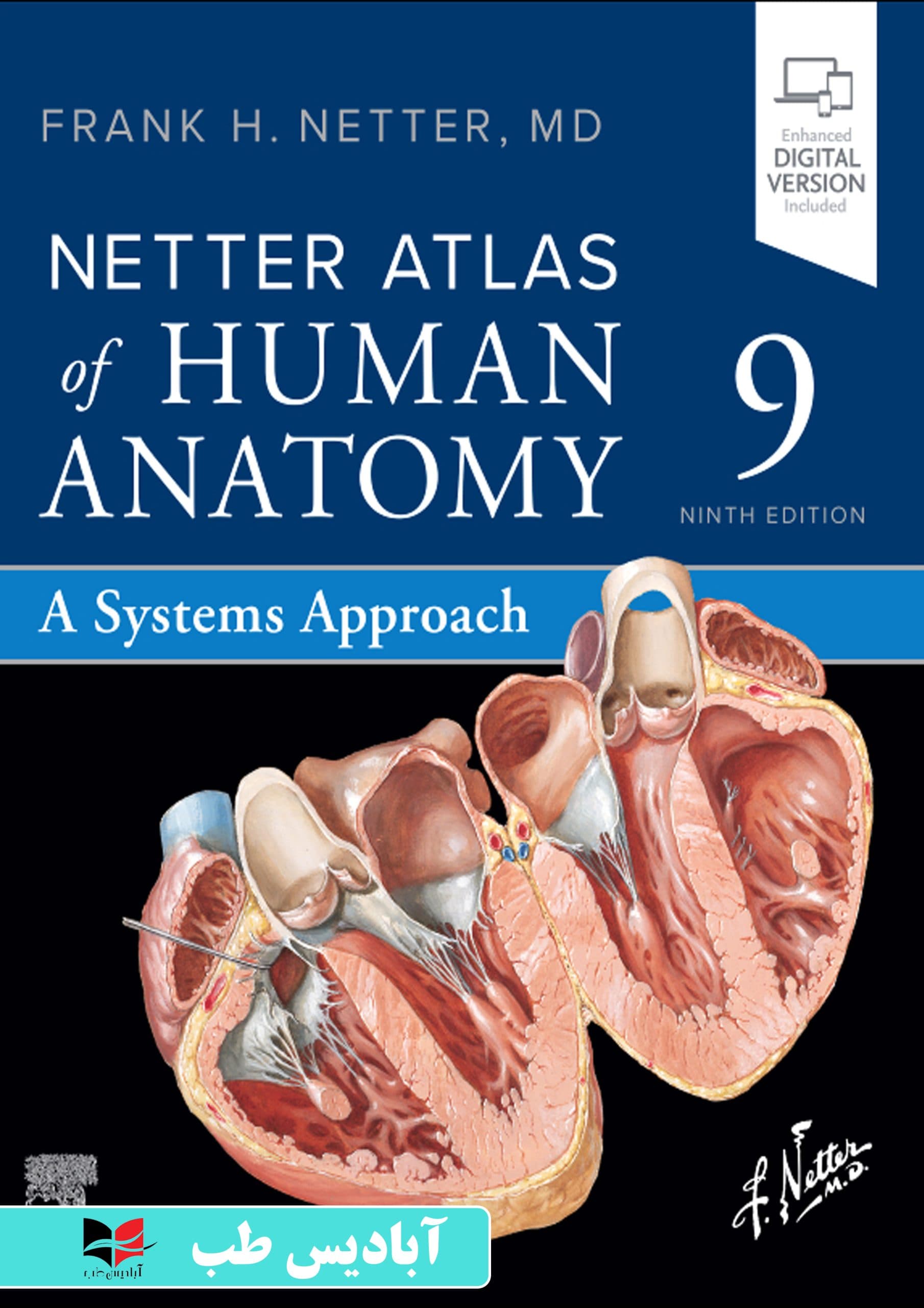 Netter Atlas of Human Anatomy: A Systems Approach, 9th Edition | اطلس آناتومی نتر انسان: رویکرد سیستمی، ویرایش نهم | اطلس آناتومی نتر 2027 — تصویر ۲