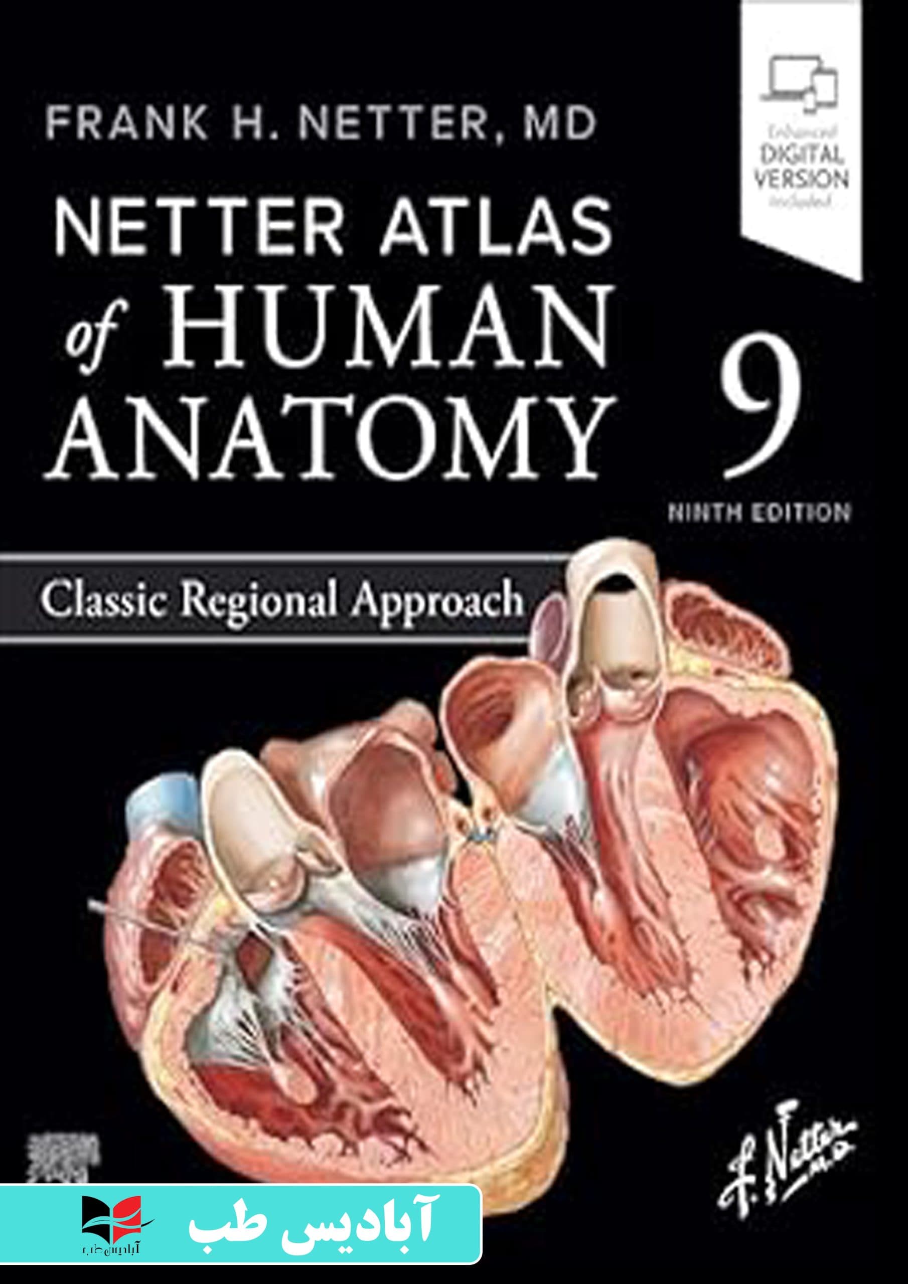 Netter Atlas of Human Anatomy: Classic Regional Approach (Netter Basic Science) 9th Edition | اطلس آناتومی انسان نتر: رویکرد منطقه‌ای کلاسیک (علوم پایه نتر) ویرایش نهم | اطلس آناتومی نتر 2027
