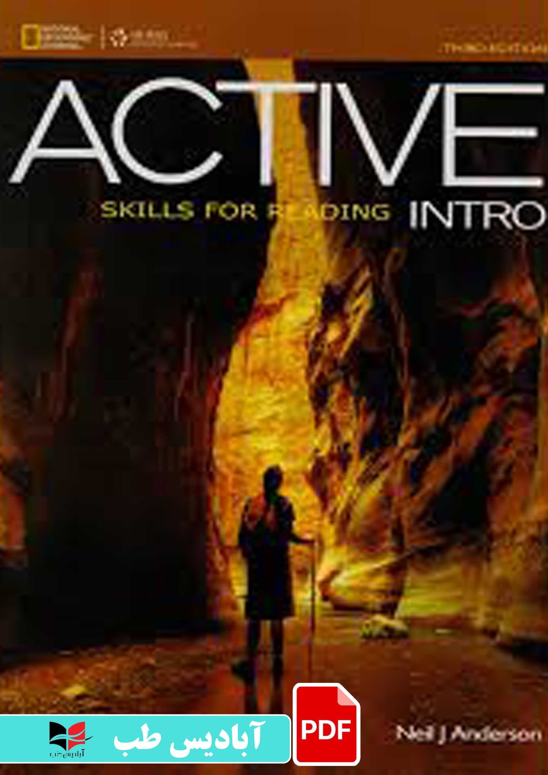 فایل پی دی اف (PDF) – ACTIVE Skills for Reading Intro 3rd Edition