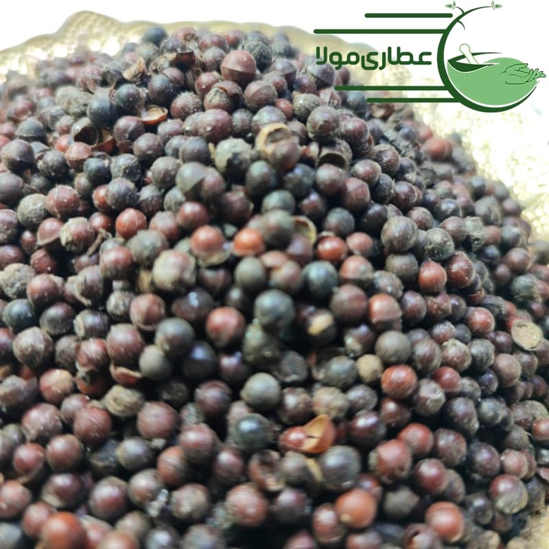 آقطی سیاه — تصویر ۲