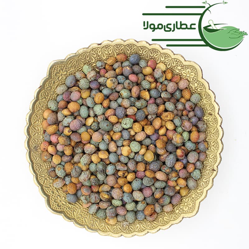پسته کوهی(بنه) — تصویر ۷