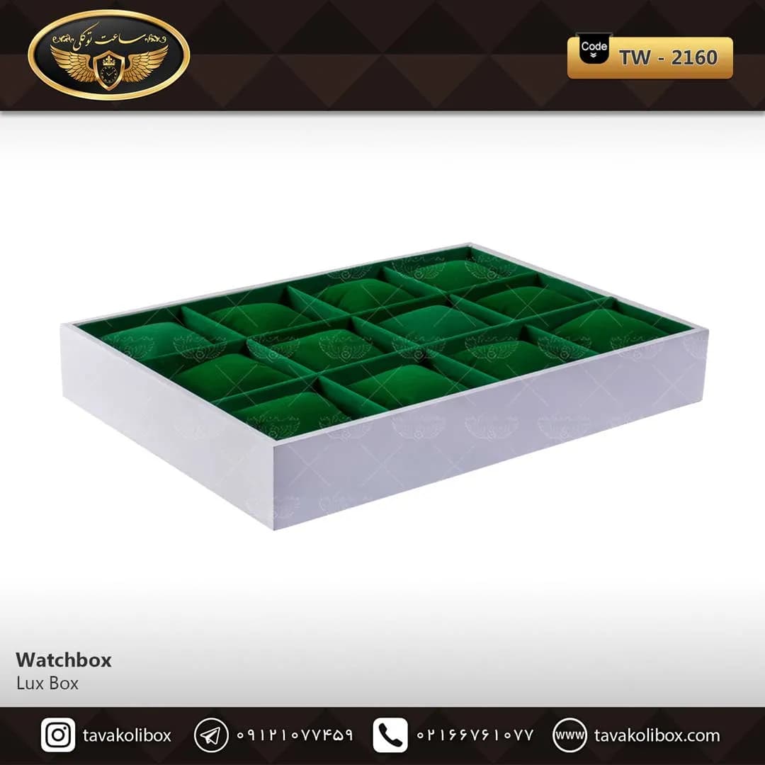 استند ساعت 12 خونه بدون درب بالشتک معمولی رنگ سفید-سبز مدل : TW-2160