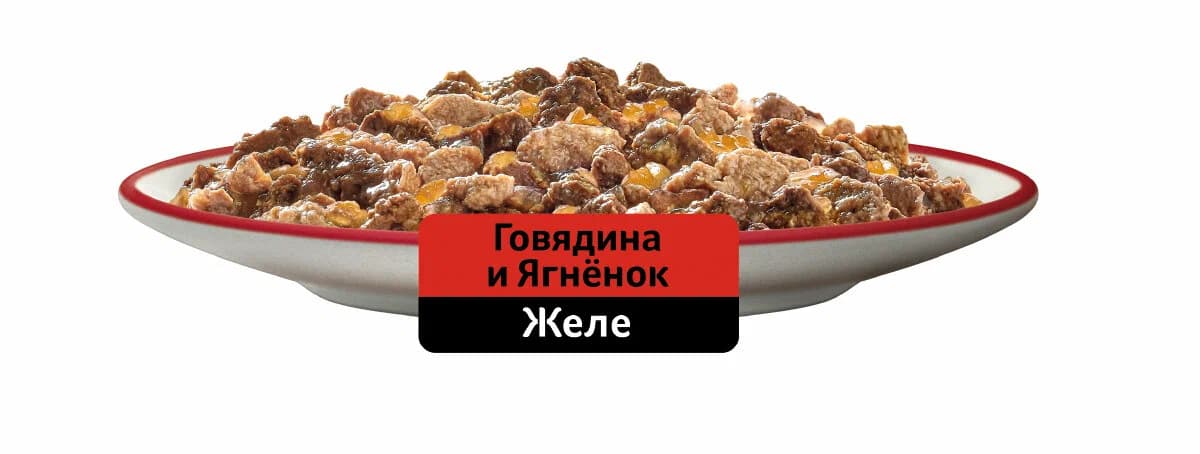 پوچ گربه ویسکاس بیف و بره داخل ژله — تصویر ۴