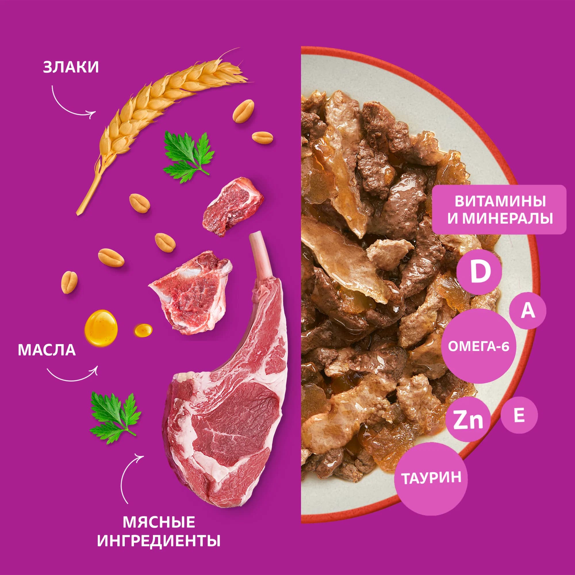 پوچ گربه ویسکاس بیف و بره داخل ژله — تصویر ۵