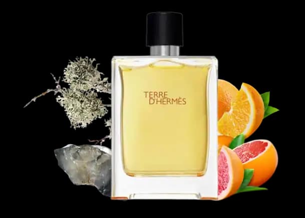 عطر مردانه تق هرمس | Terre d’Hermès — تصویر ۳