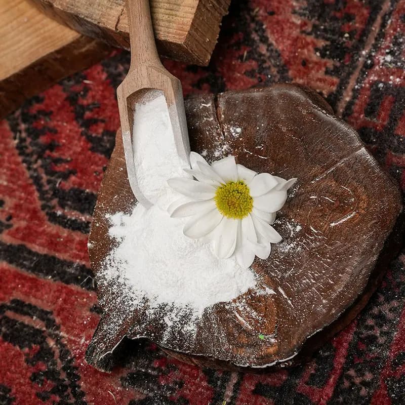 طعم پنیری — تصویر ۶