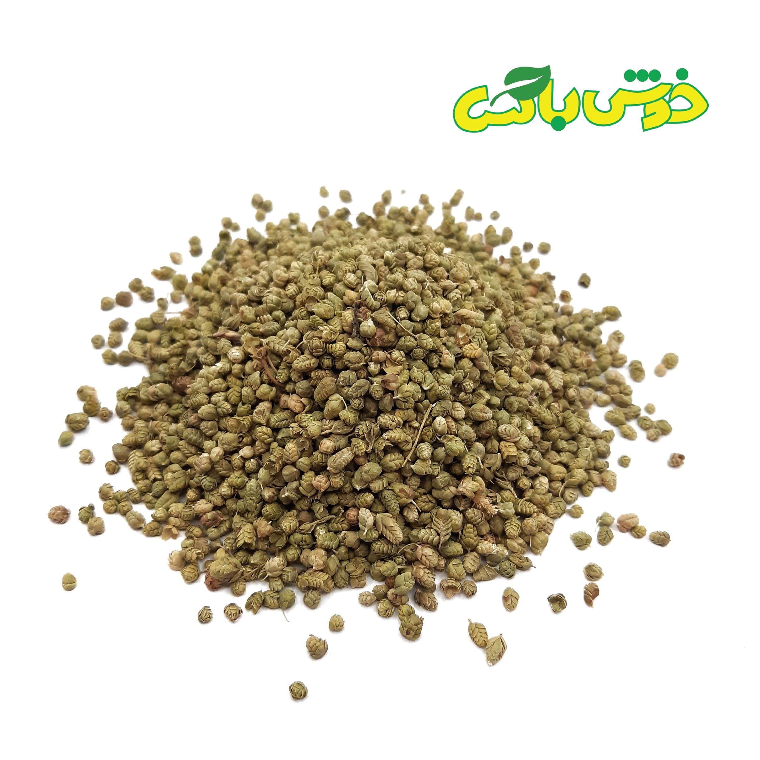 اورِگانو (گل )