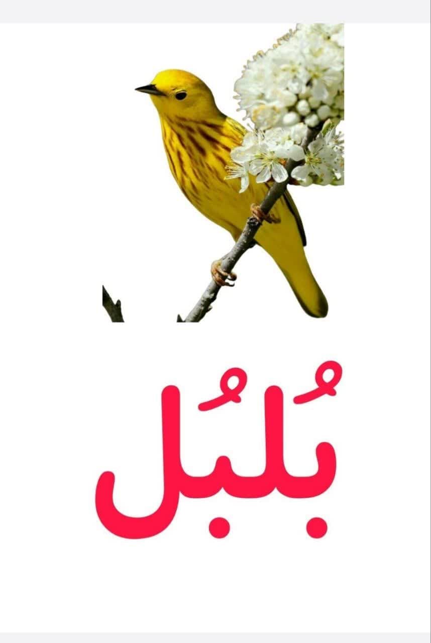طراحی آموزشی شهید همت همکاری و گل فارسی اول ابتدایی — تصویر ۳