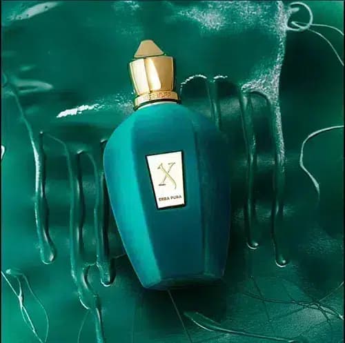 عطر زرجوف اربا پورا (Xerjoff Erba Pura) — تصویر ۷