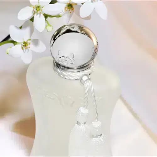 عطر پارفوم د مارلی والایا (Parfums de Marly Valaya) — تصویر ۵