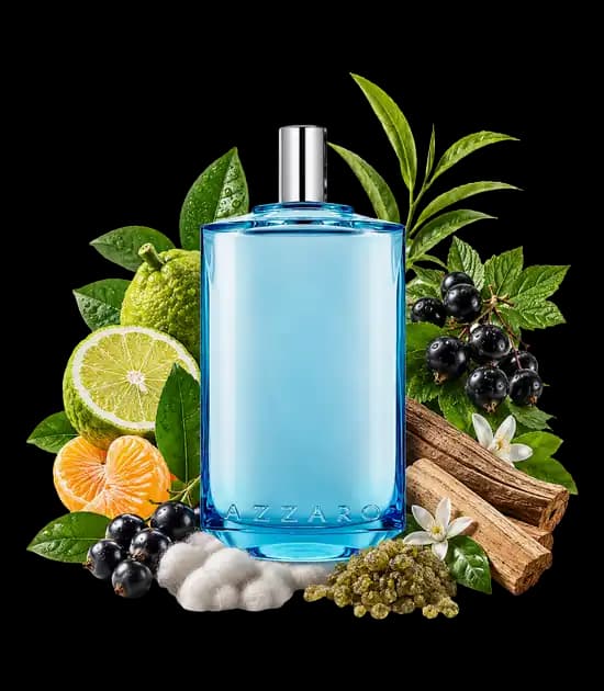 عطر آزارو کروم لجند (Azzaro Chrome Legend) — تصویر ۸