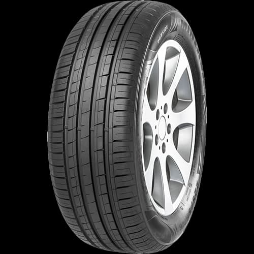 لاستیک مینروا سایز 205/60R15 گل F209
