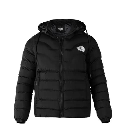 کاپشن مردانه The North Face کد 49283 — تصویر ۲