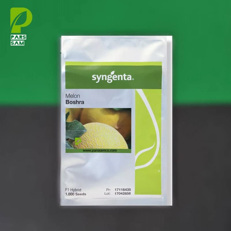 بذر ملون بشرا سینجنتا