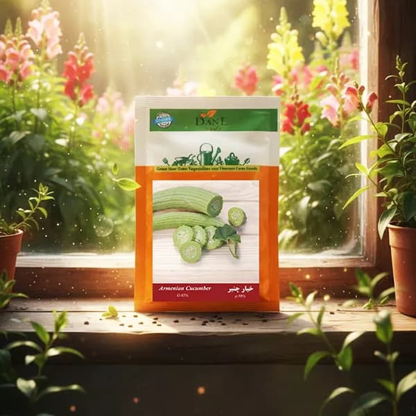 بذر خیار چنبر خانگی