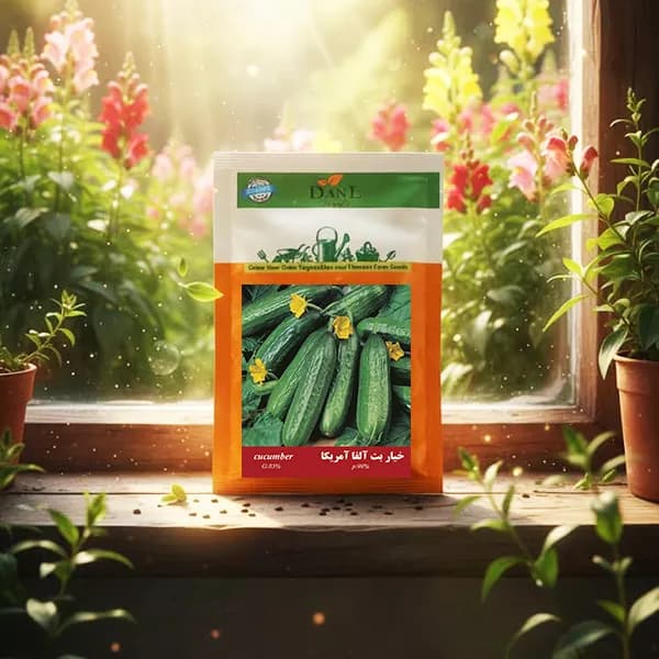 بذر خیار بت الفا خانگی