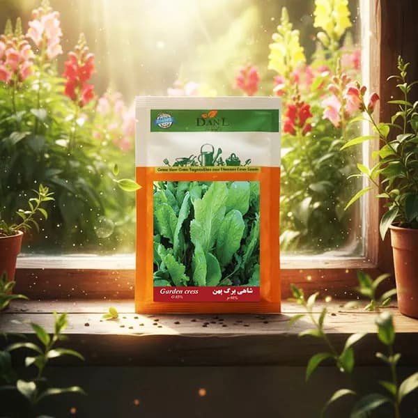 بذر شاهی برگ پهن خانگی