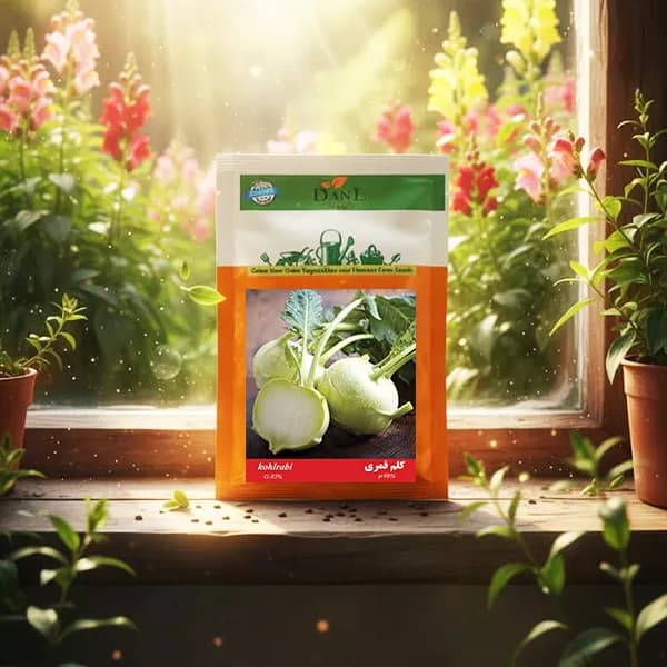 بذر کلم قمری خانگی