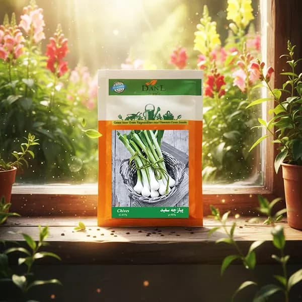 بذر پیازچه سفید خانگی