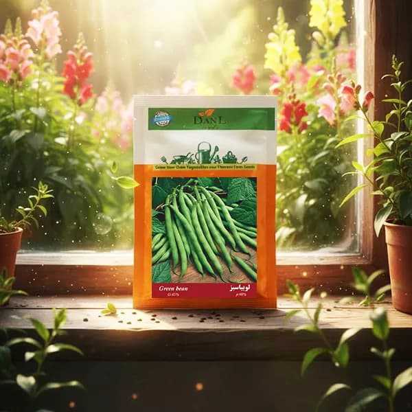 بذر لوبیا سبز خانگی