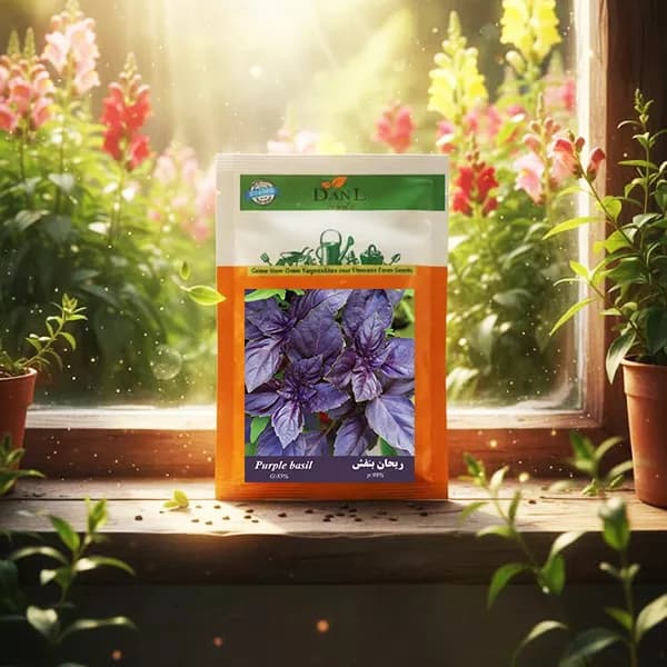 بذر ریحان بنفش خانگی